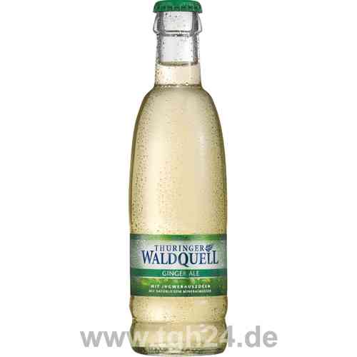 Thüringer Waldquell Ginger Ale Gourmet 20x0,25 l