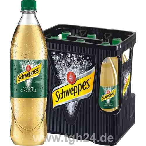 Schweppes American Ginger Ale 6x1,0 l